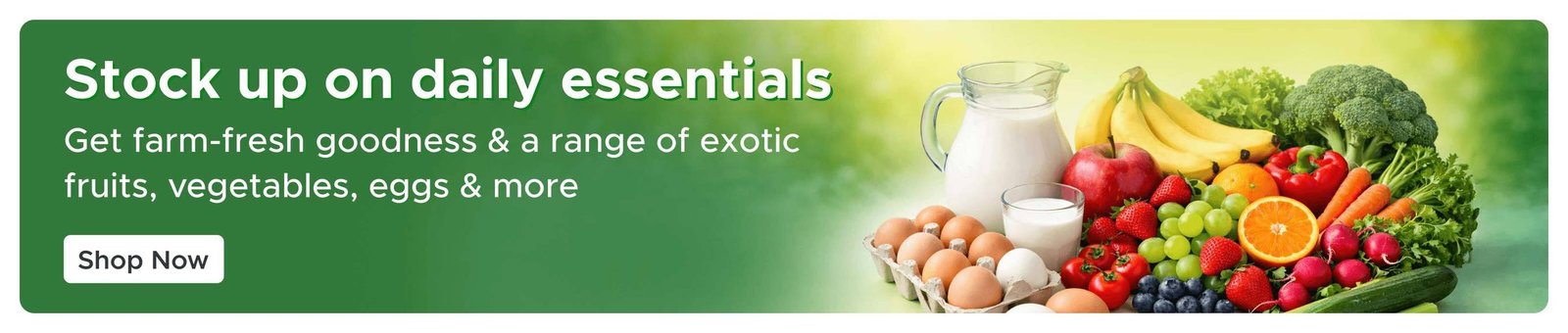 Vindhya Store Banner